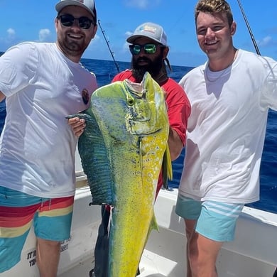 The 15 Best Fishing Charters in Key West, FL
