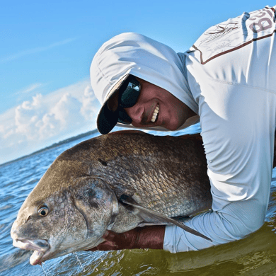 Black Drum