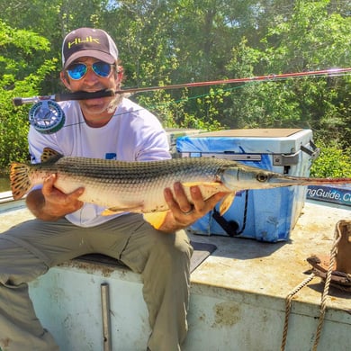 Longnose Gar