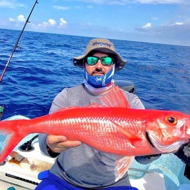 Fishing in Cancún