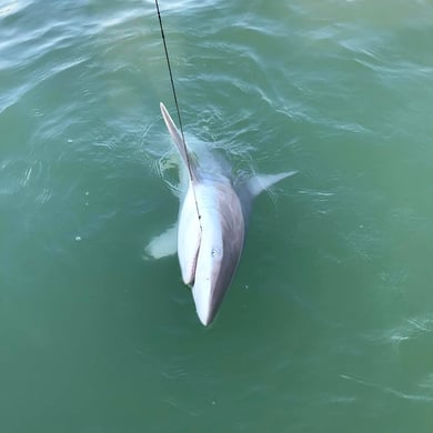 Fishing in Galveston