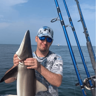 shark fishing trips galveston tx