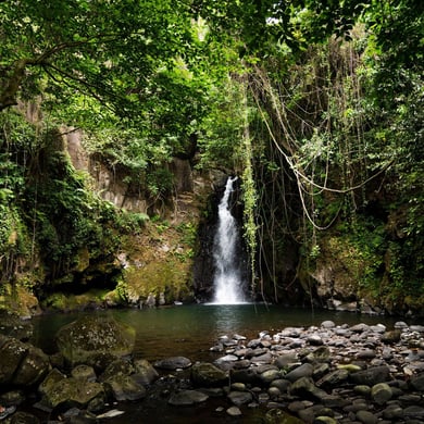 Machame