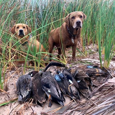 Fishing, Hunting in Rockport