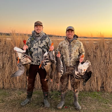 How to Catch Blue-Winged Teal & Blue-Winged Teal Hunting Guides