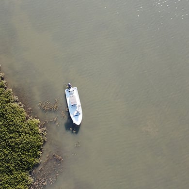 Pink Salmon Fishing in Alaska