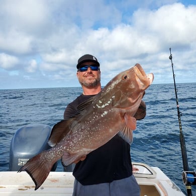 Red Grouper