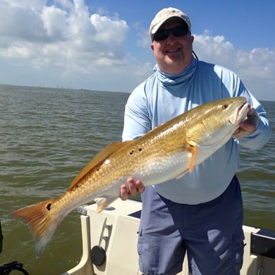 Galveston
