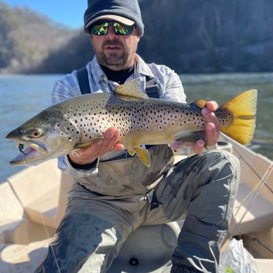 Light Tackle Fishing