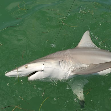 Islamorada