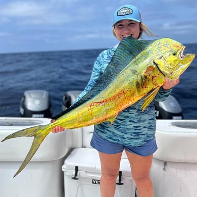 Bottom Fishing