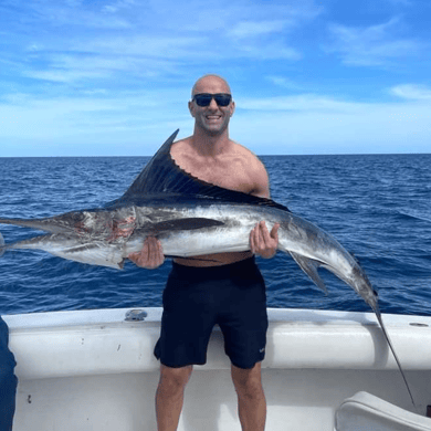 San José del Cabo
