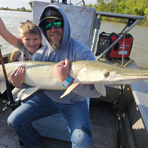 Alligator Gar