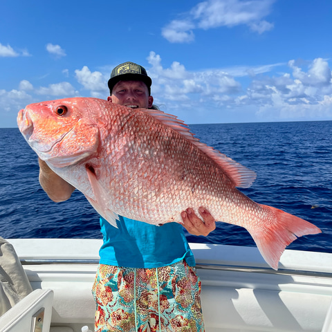Red Snapper