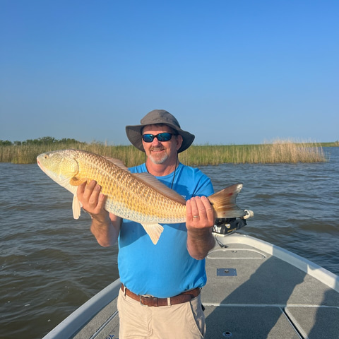 Redfish