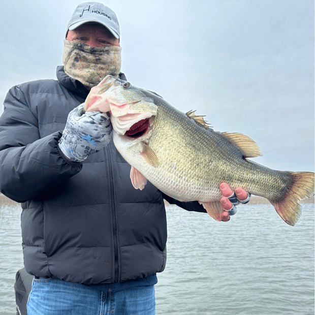 Trophy Bass On O.H. Ivie Lake In Voss