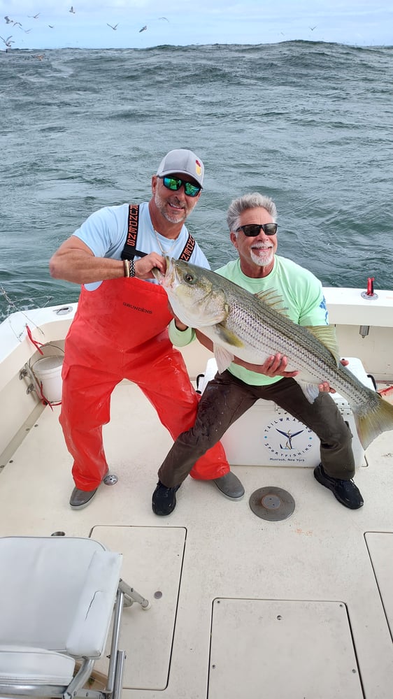 1/2 Day 4hr Inshore Striped Bass PM (Copy) (Copy) In Montauk
