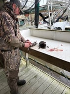 Photo from Jackson