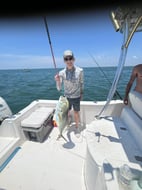 Photo from Matt