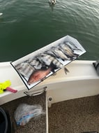 Photo from Brady