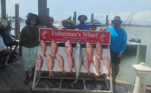 Photo from Tavares