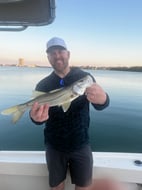Photo from Brady