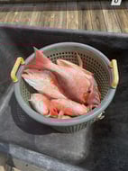 Photo from Paul