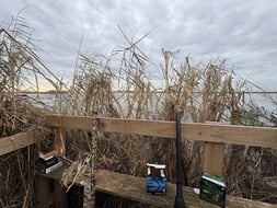 Photo from Jackson
