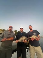 Photo from Brady