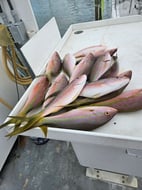 Photo from Christine