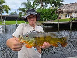 Photo from Christopher