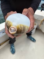 Photo from Stephanie