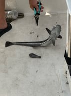 Photo from Jim