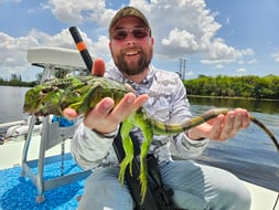 Photo from Jeremiah,