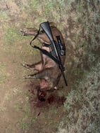 Photo from Alejandro