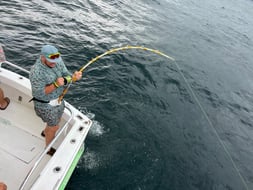 Photo from Paul-jason