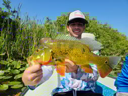 Photo from Christian