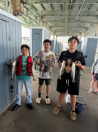 Photo from Joe