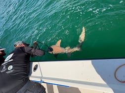 Photo from Stephanie