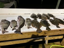 Photo from Kristopher