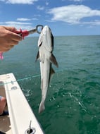 Photo from Stephanie