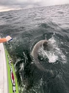 Photo from Paul-jason