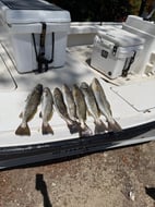 Photo from Alvin
