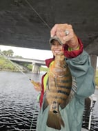 Photo from Maryglenn