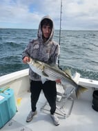 Photo from Daniel