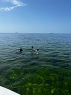 Photo from Nargiz