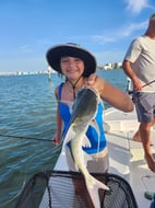 Photo from Todd