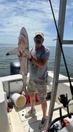 Photo from Darryl