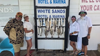 Photo from Velma