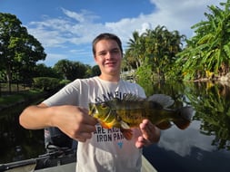 Photo from Christopher